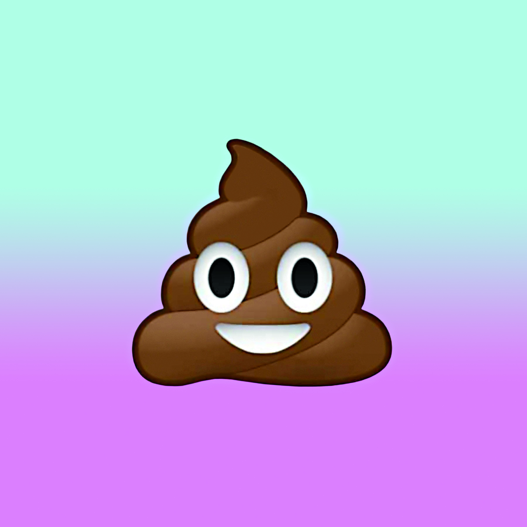 the poop emoji 