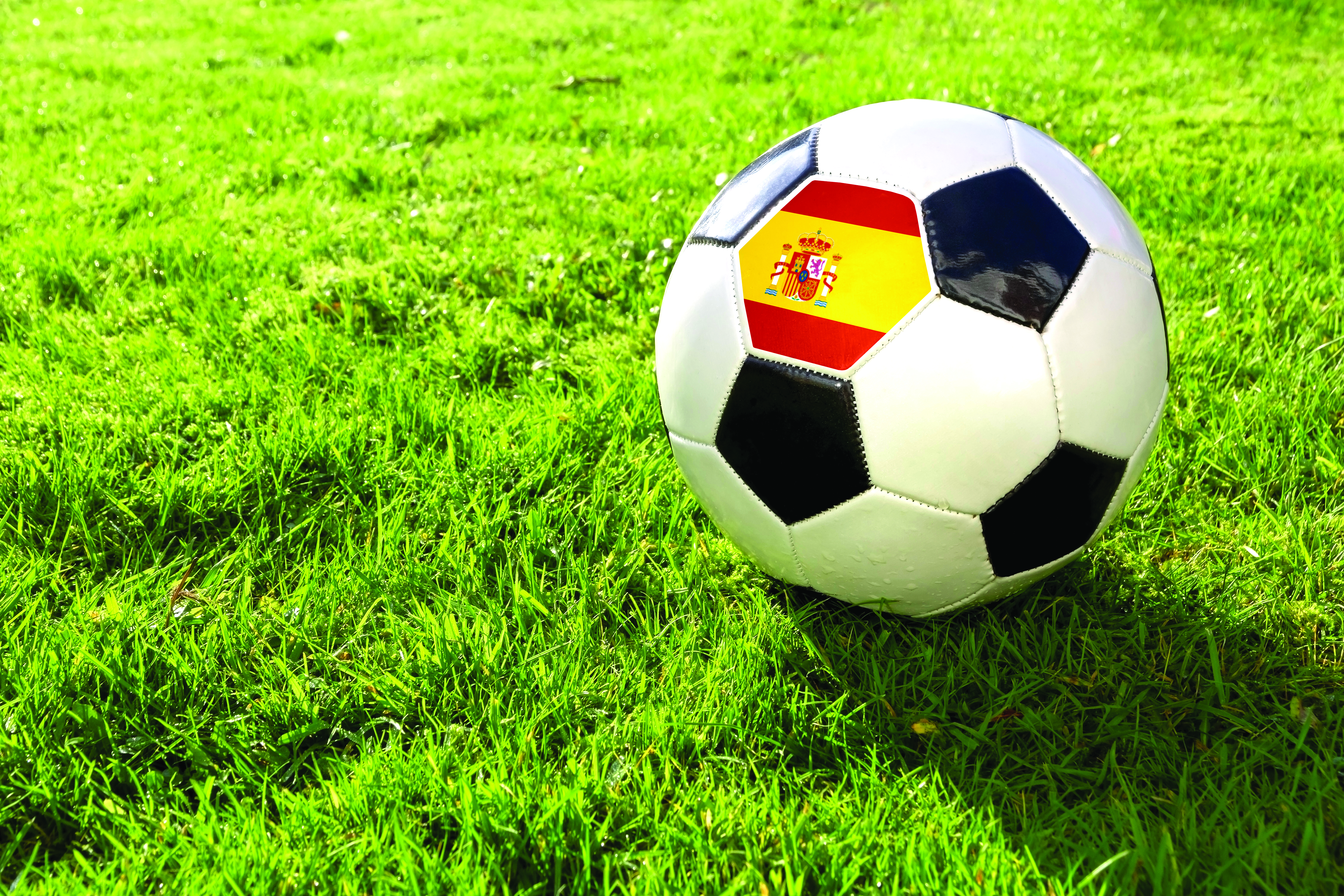 a soccer ball on a field