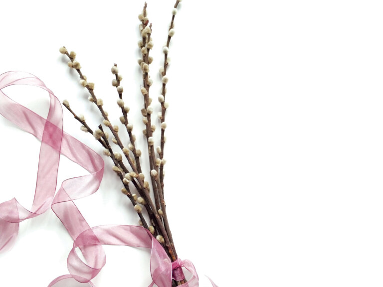 branches tied together with a pink string