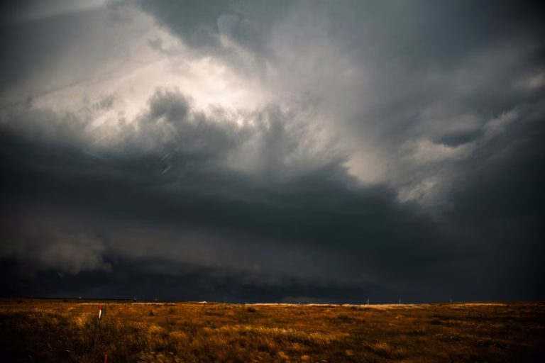 Dark grey storm clouds gather over a field of wheat.